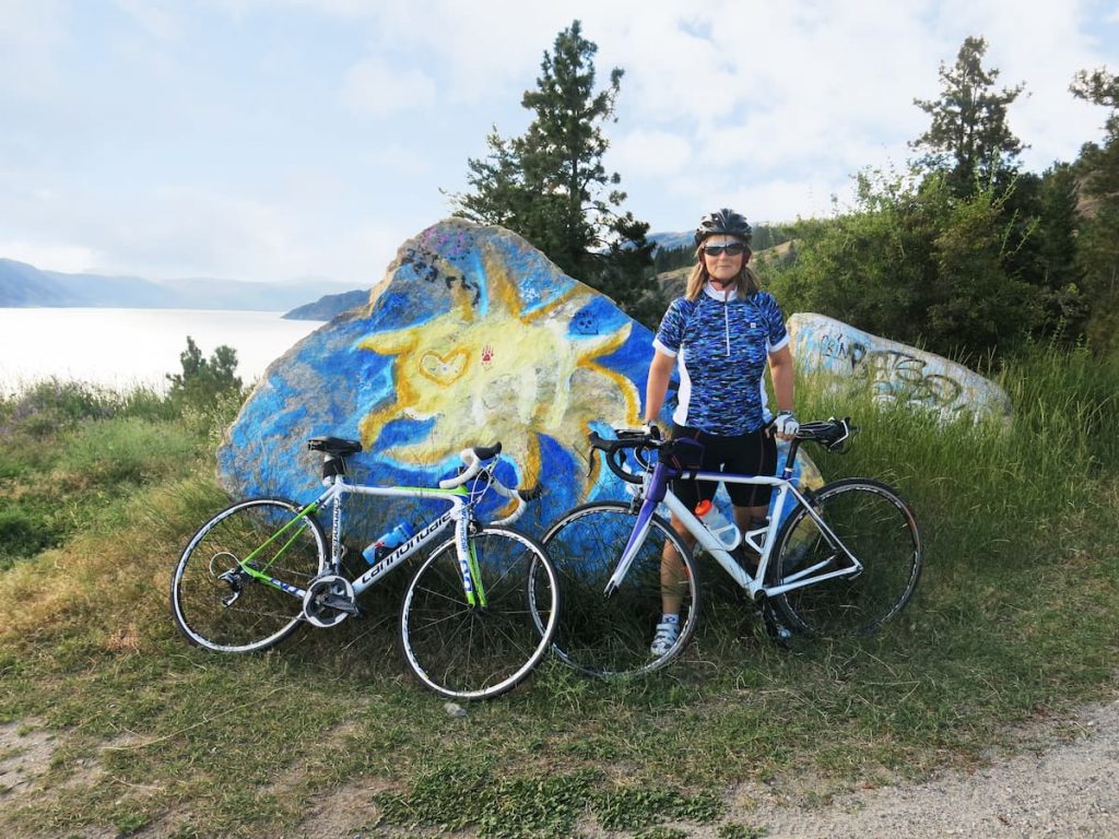 Linda Chamaschuk bike painted rock